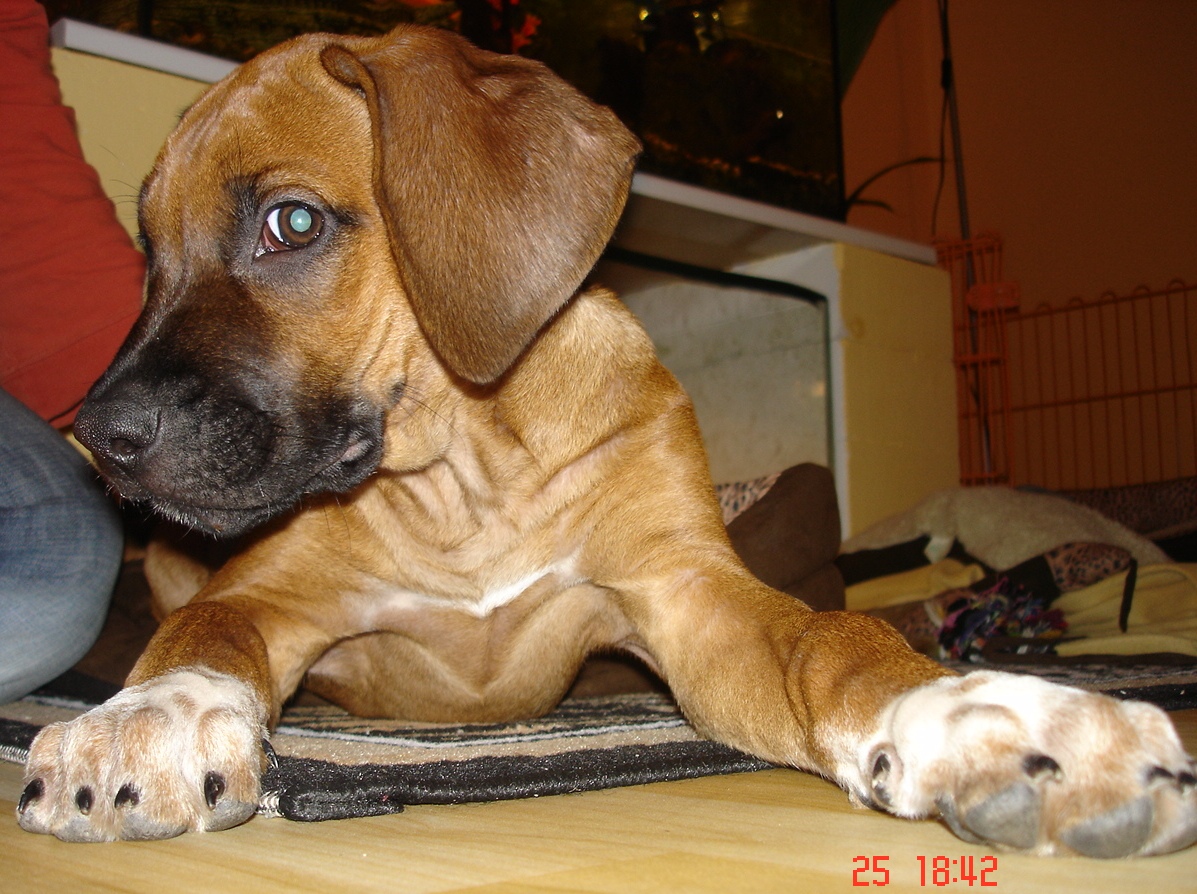 DSC07154.JPG