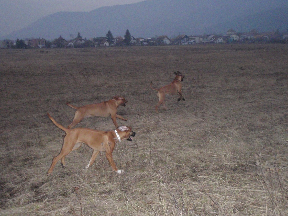 P1260028.JPG