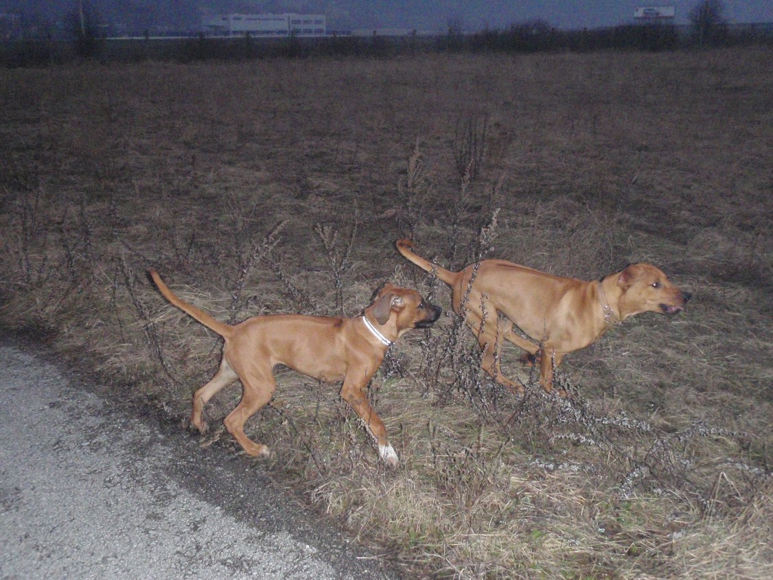 P1260031.JPG