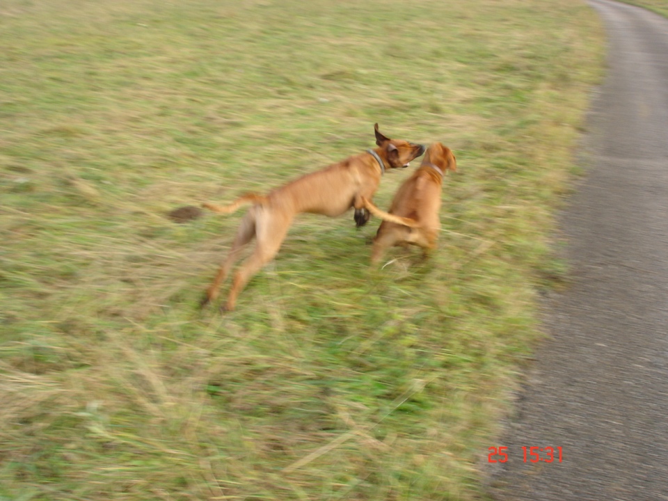 DSC08045.JPG