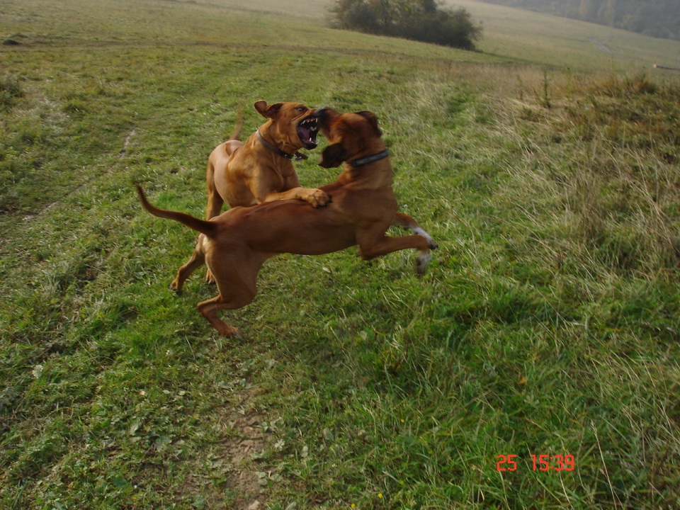 DSC08047.JPG