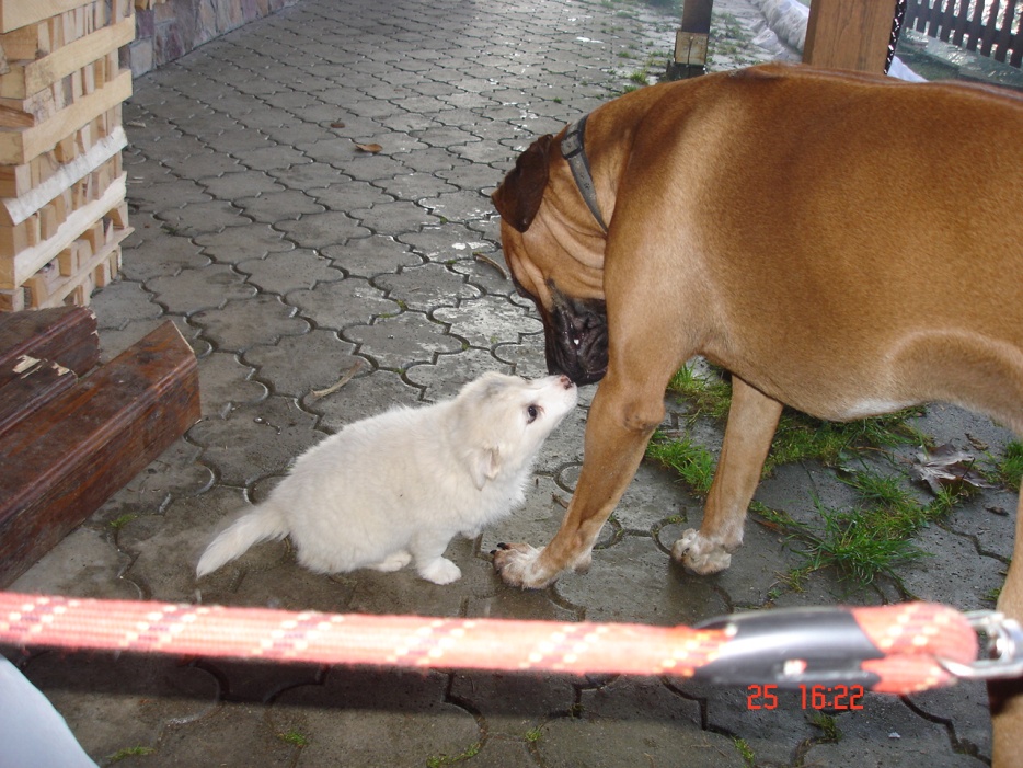 DSC08072.JPG