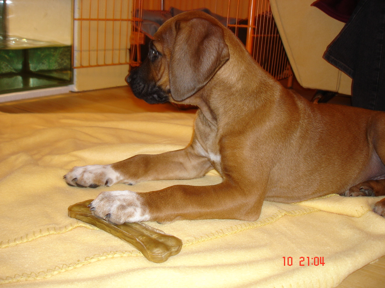 DSC07033.JPG