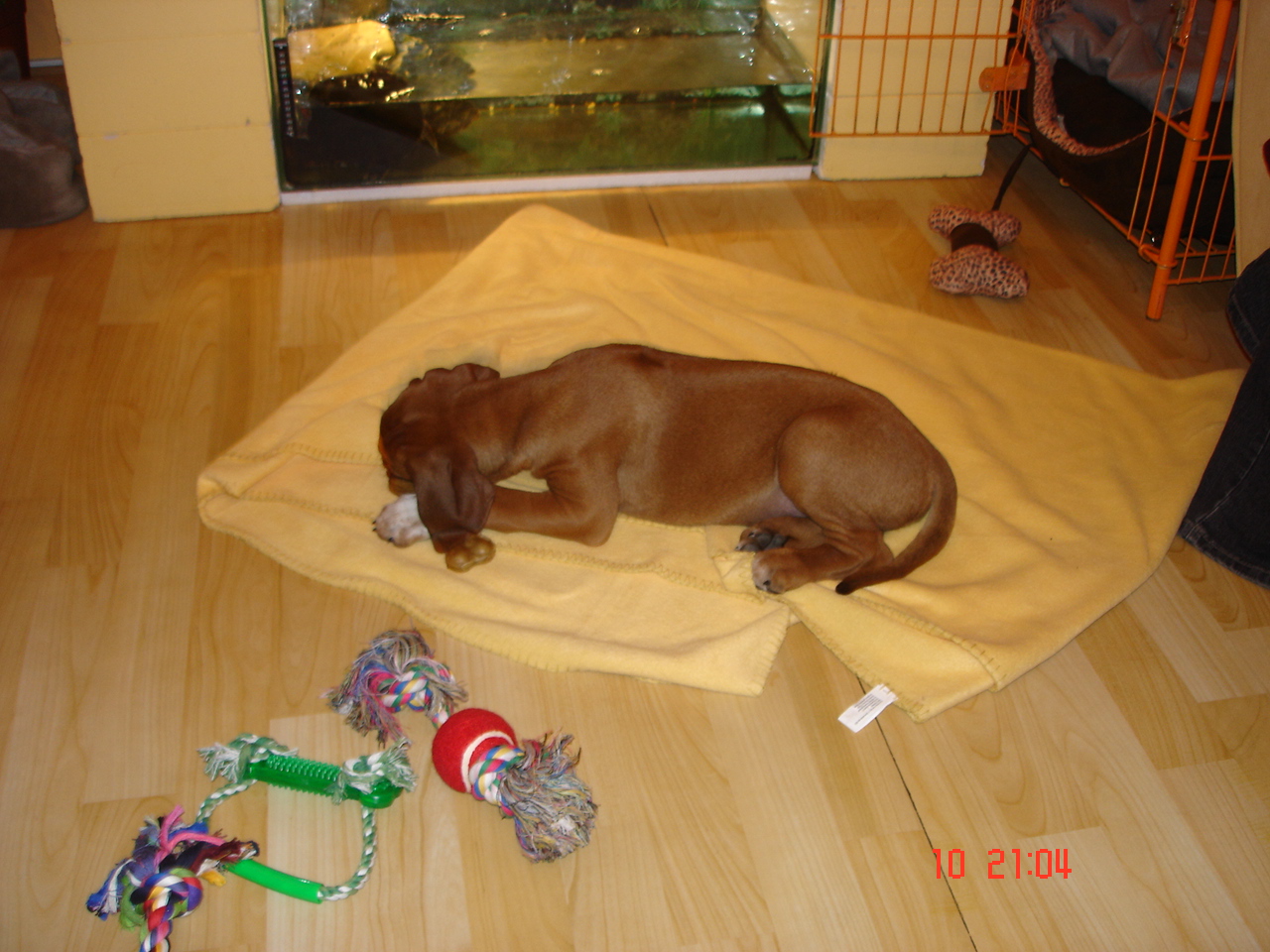 DSC07034.JPG