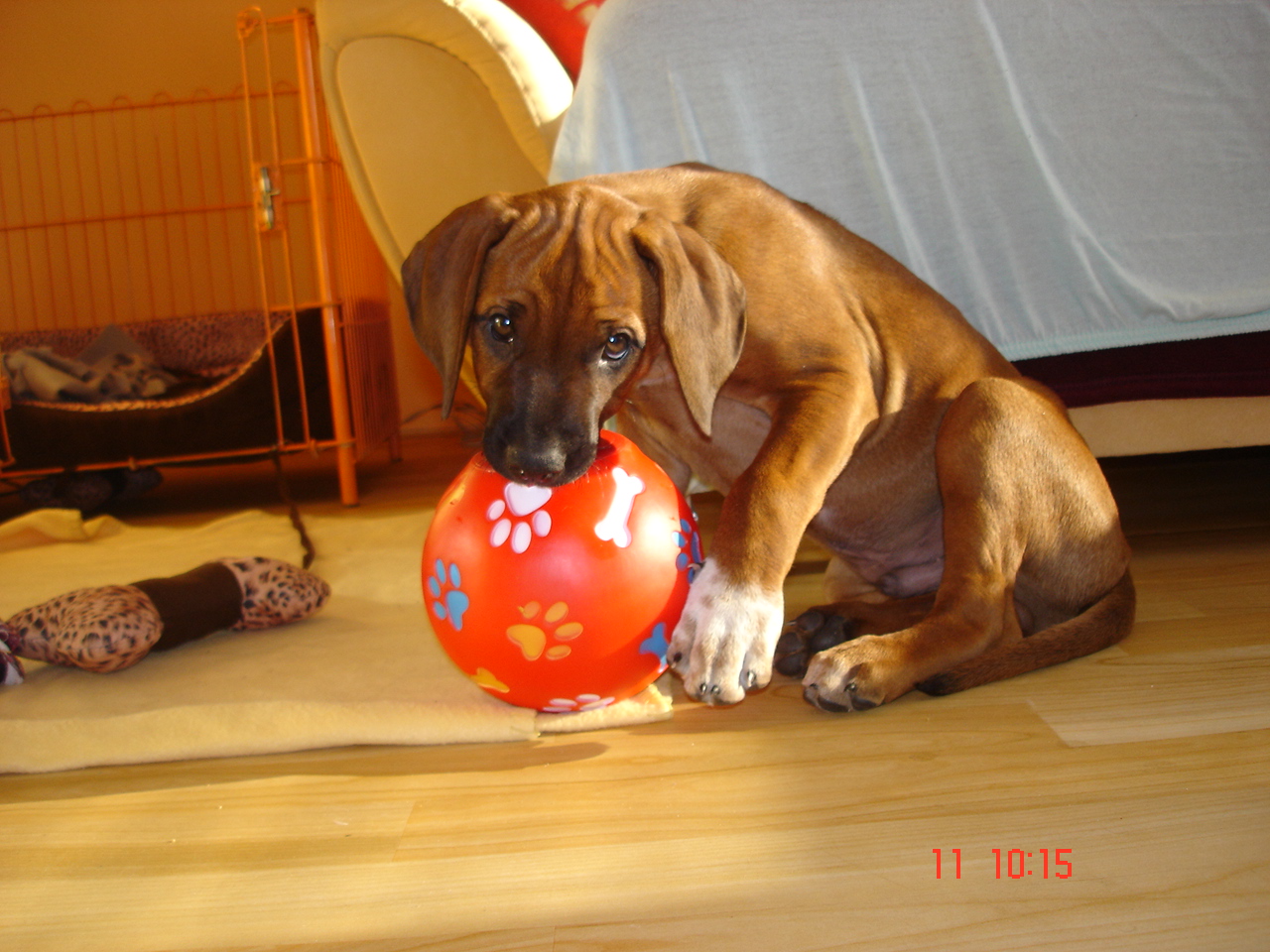 DSC07042.JPG