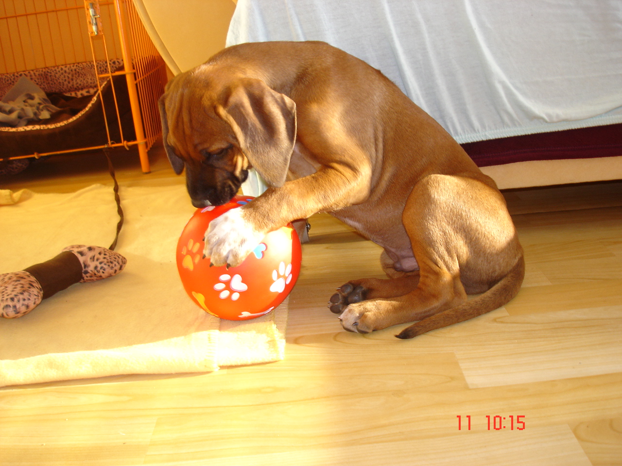 DSC07043.JPG