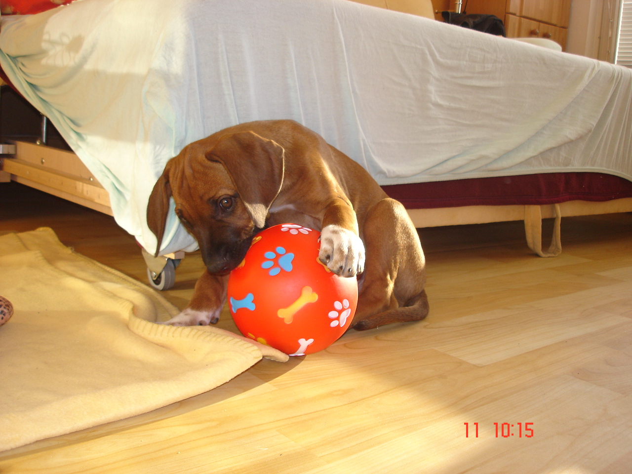 DSC07044.JPG
