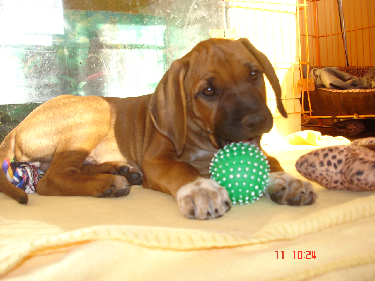 DSC07048.JPG