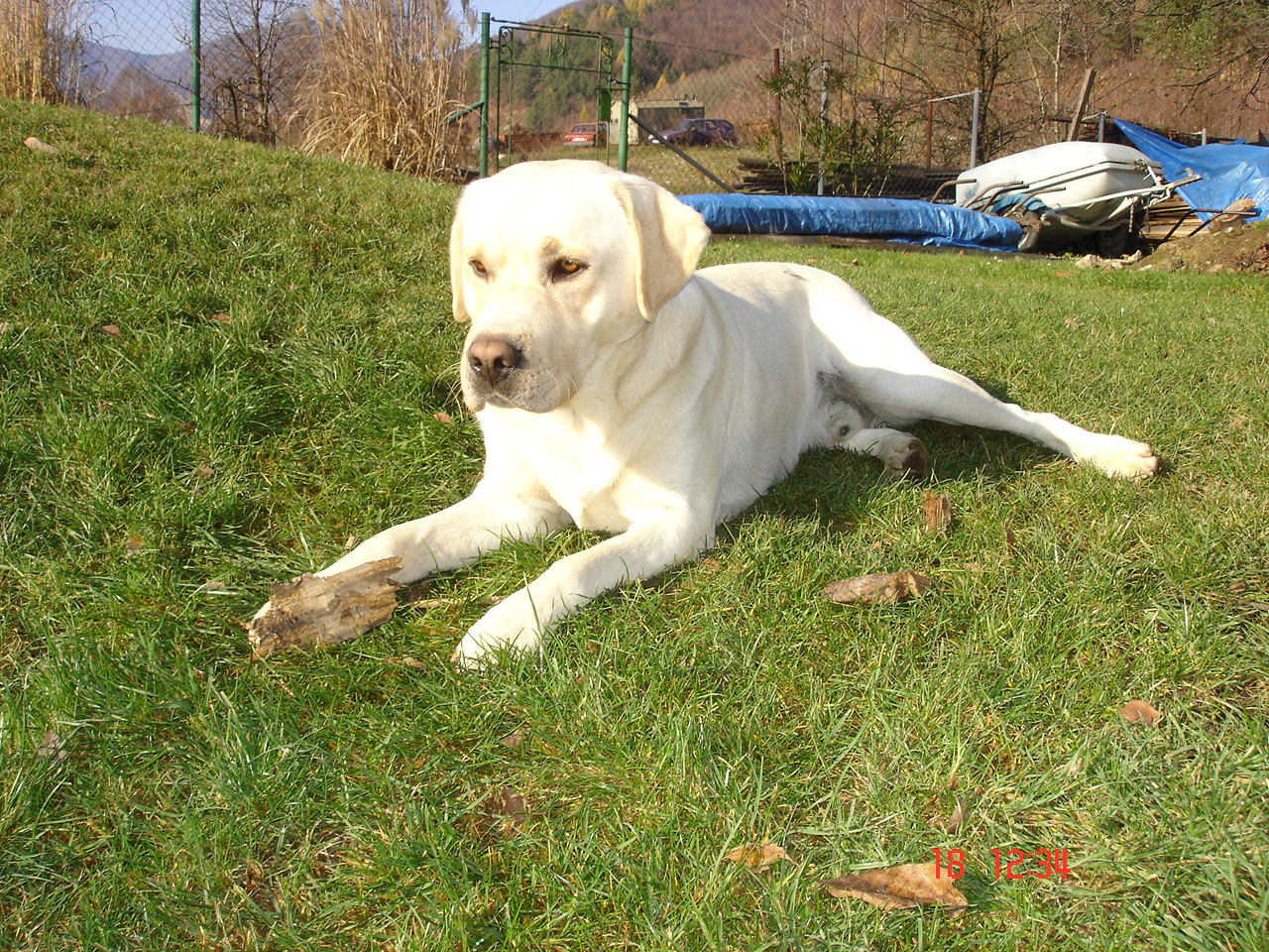 DSC07089.JPG