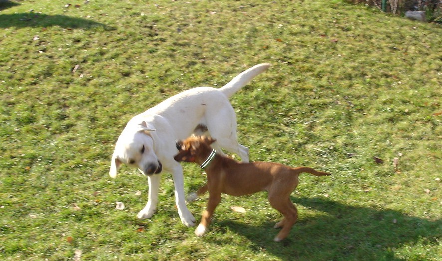 DSC07093.JPG