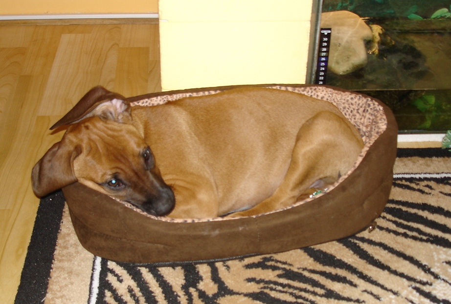 DSC07139.JPG