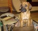 DSC07158.JPG