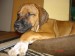 DSC07166.JPG