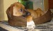 DSC07169.JPG
