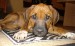 DSC07181.JPG