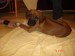 DSC07035.JPG