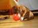DSC07042.JPG