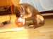 DSC07043.JPG
