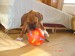 DSC07045.JPG