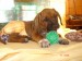 DSC07048.JPG