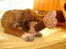DSC07052.JPG