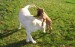 DSC07085.JPG
