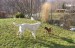 DSC07094.JPG