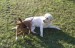 DSC07095.JPG