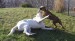 DSC07097.JPG