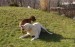 DSC07110.JPG