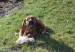 DSC07116.JPG