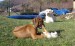 DSC07120.JPG