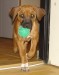 DSC07142.JPG